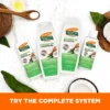 palmers-coconut-oil-set.webp