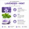 bcl-spa-mini-4-step-set-lavender-mint-calming-manicure-pedicure-ingrediants.webp