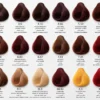 dikson hair color buy 1 get 1 free offer
