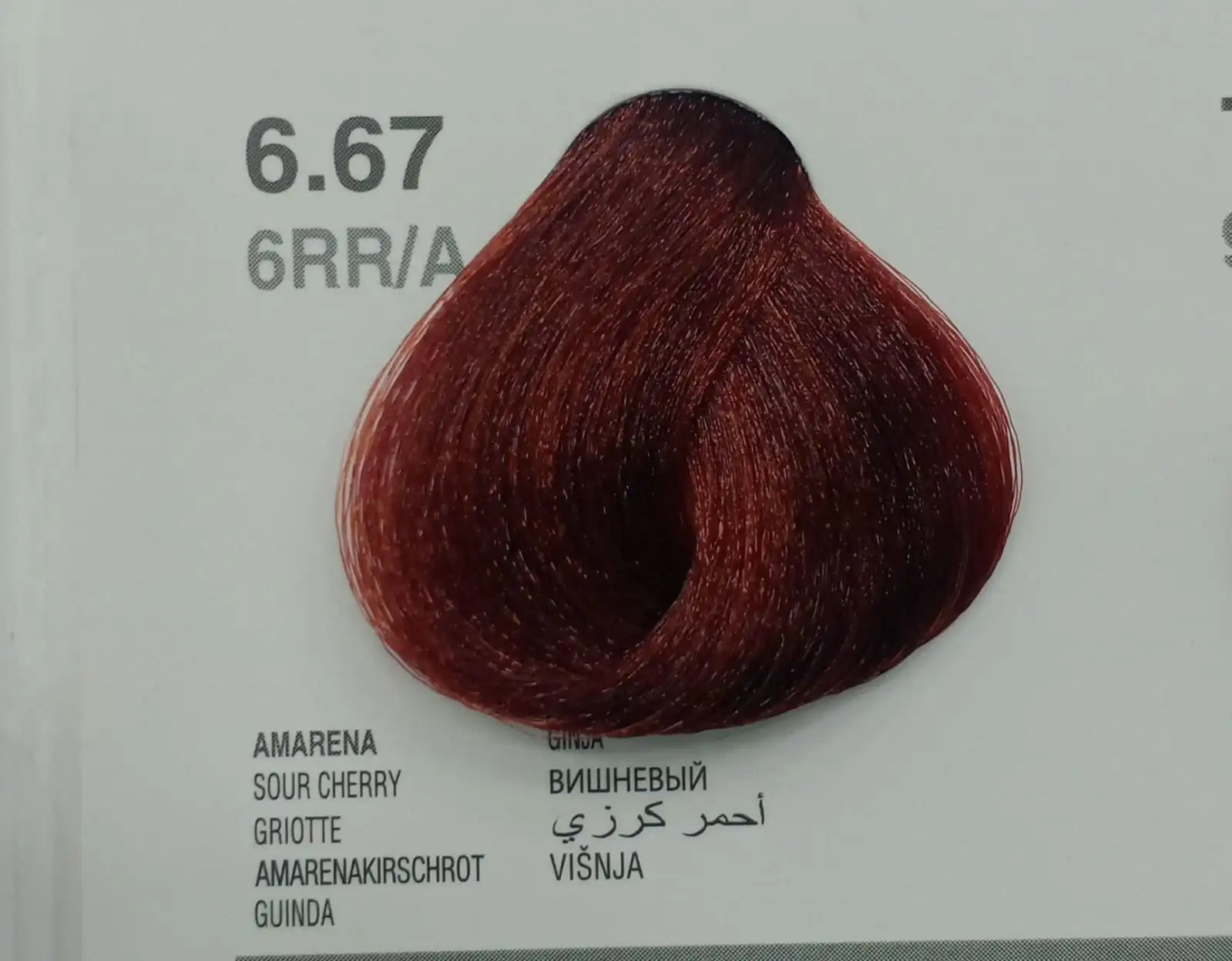 dikson hair color 6.67