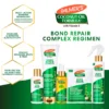 palmers-bond-repair-complex-set