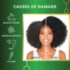 palmers-bond-repair-complex-shampoo-250ml before after results